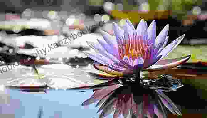 A Serene Image Of A Lotus Flower Floating In A Tranquil Pond, Symbolizing The Transformative Power Of Karma 36 Powerful Laws Of Karma: How To Improve The Quality Of Your Life (The Amazing Power Of Karmic Laws: 4 Volume 1)