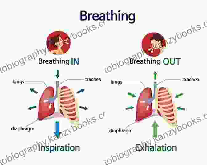 Exhaling, Releasing Impurities And Making Way For Lightness The Miracle Of The Breath: Mastering Fear Healing Illness And Experiencing The Divine