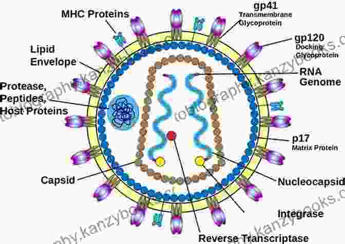 Illustration Of A Virus Displaying Its Distinctive Structure, Including Genetic Material And Protein Coat. Propolis The Natural Way To Prevent And Heal Infection: Fights Infection Including: Bacterial Viral Fungal Parasitic And More