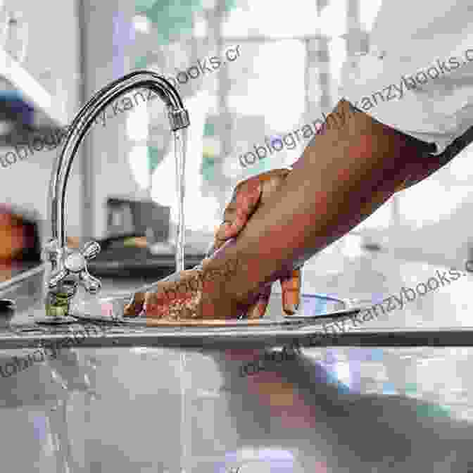 Image Of A Person Washing Hands Before Handling Food Don T Worry (It S Safe To Eat): The True Story Of GM Food BSE And Foot And Mouth