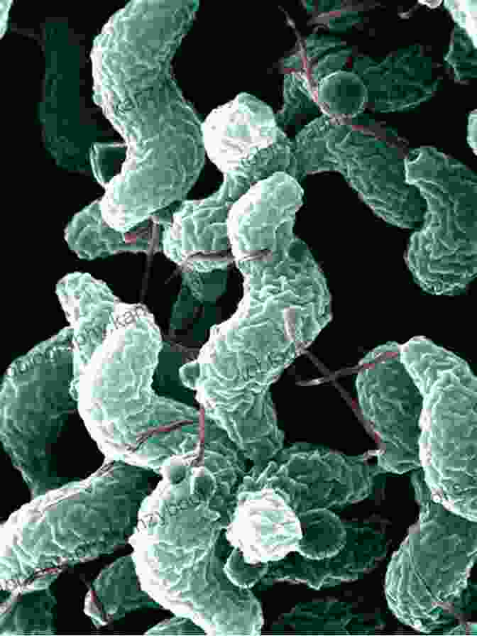 Microscopic Image Of Foodborne Bacteria Don T Worry (It S Safe To Eat): The True Story Of GM Food BSE And Foot And Mouth