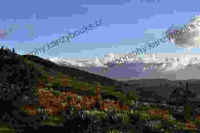 Panoramic View Of The Snow Capped Andes Mountains, Colombia Treasures Of Colombia Ranae Richoux