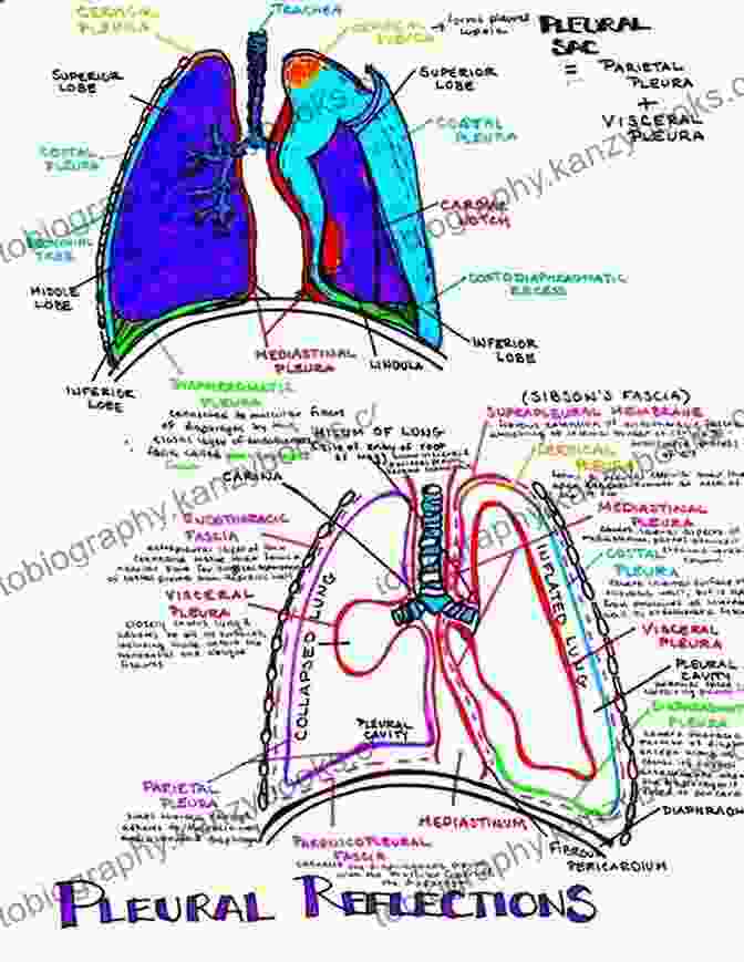 The Breath As A Reflection Of One's Inner State The Miracle Of The Breath: Mastering Fear Healing Illness And Experiencing The Divine