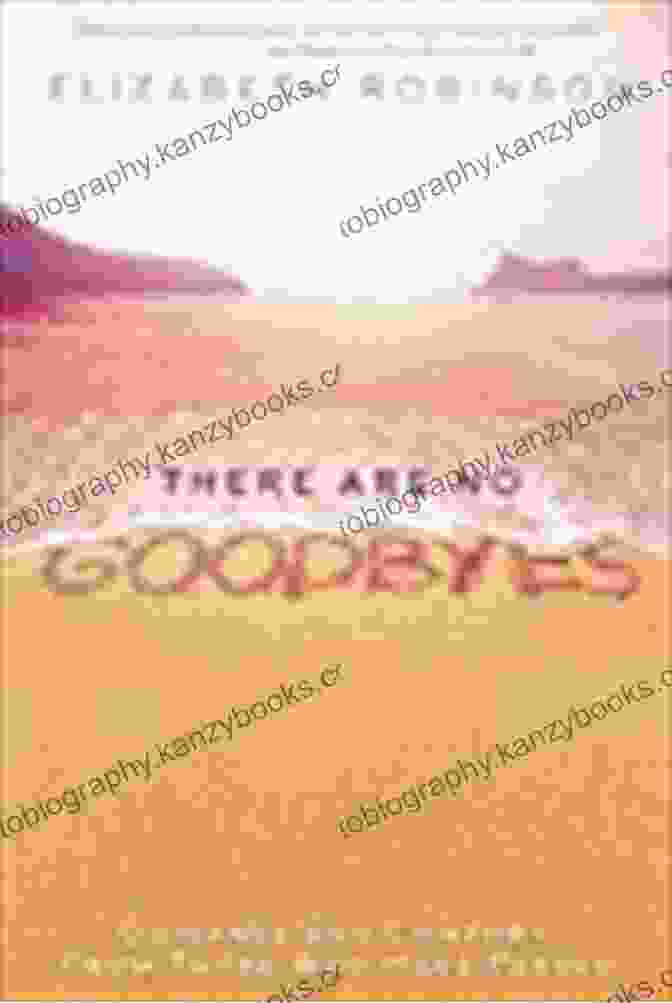 There Are No Goodbyes Book Cover Guided By Angels: Part 3 Of 3: There Are No Goodbyes My Tour Of The Spirit World