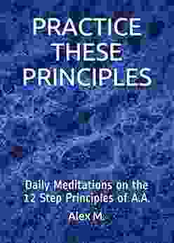 PRACTICE THESE PRINCIPLES: Daily Meditations On The 12 Step Principles Of A A