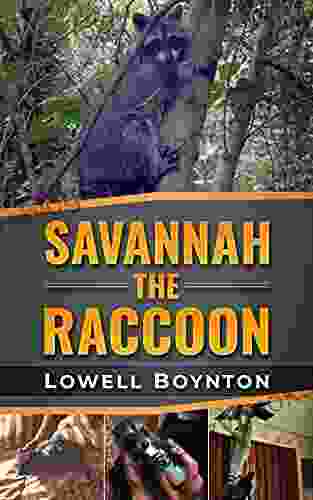 Savannah The Raccoon: The Hilarious True Adventures of a Mischievous Pet Raccoon