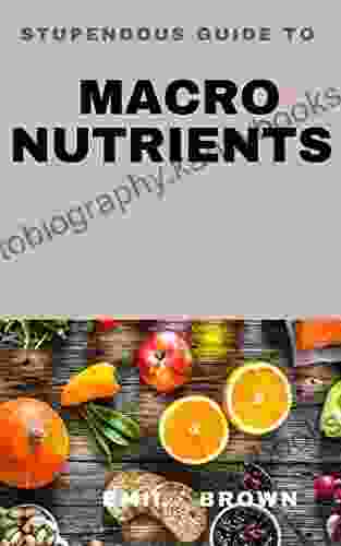 STUPENDOUS GUIDE TO MACRO NUTRIENTS FOR BEGINNERS